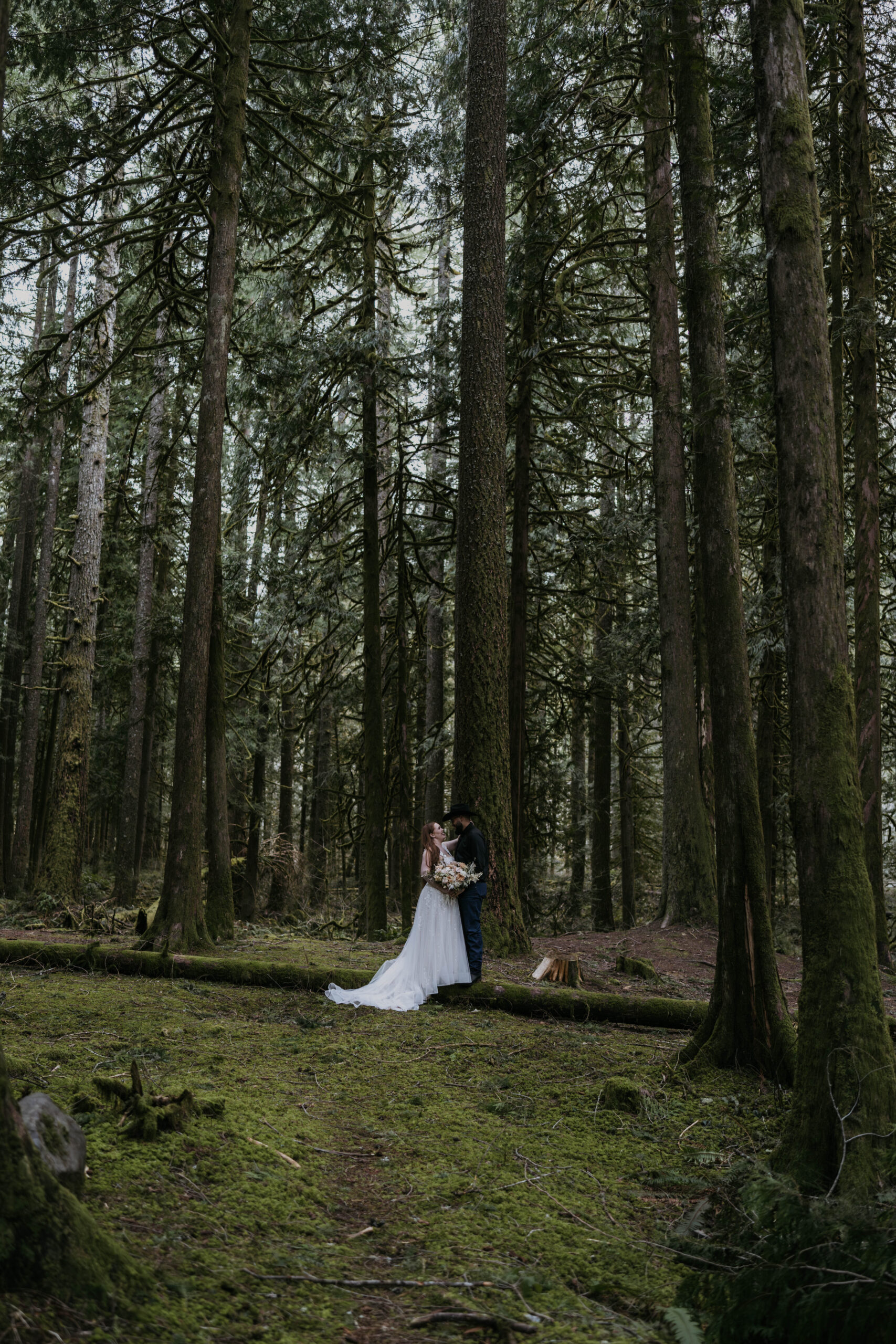 couple in a distance standing on log in wedding attire in moody forest
