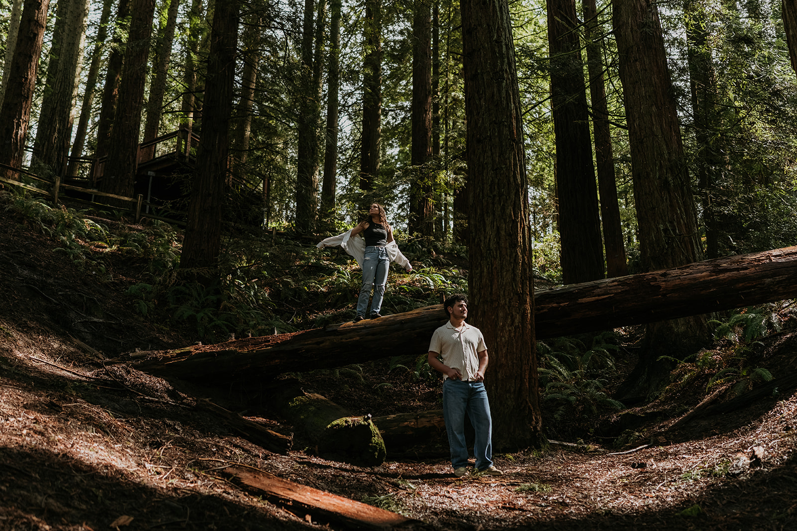 women standing on log and man standing on ground in tall tree forest