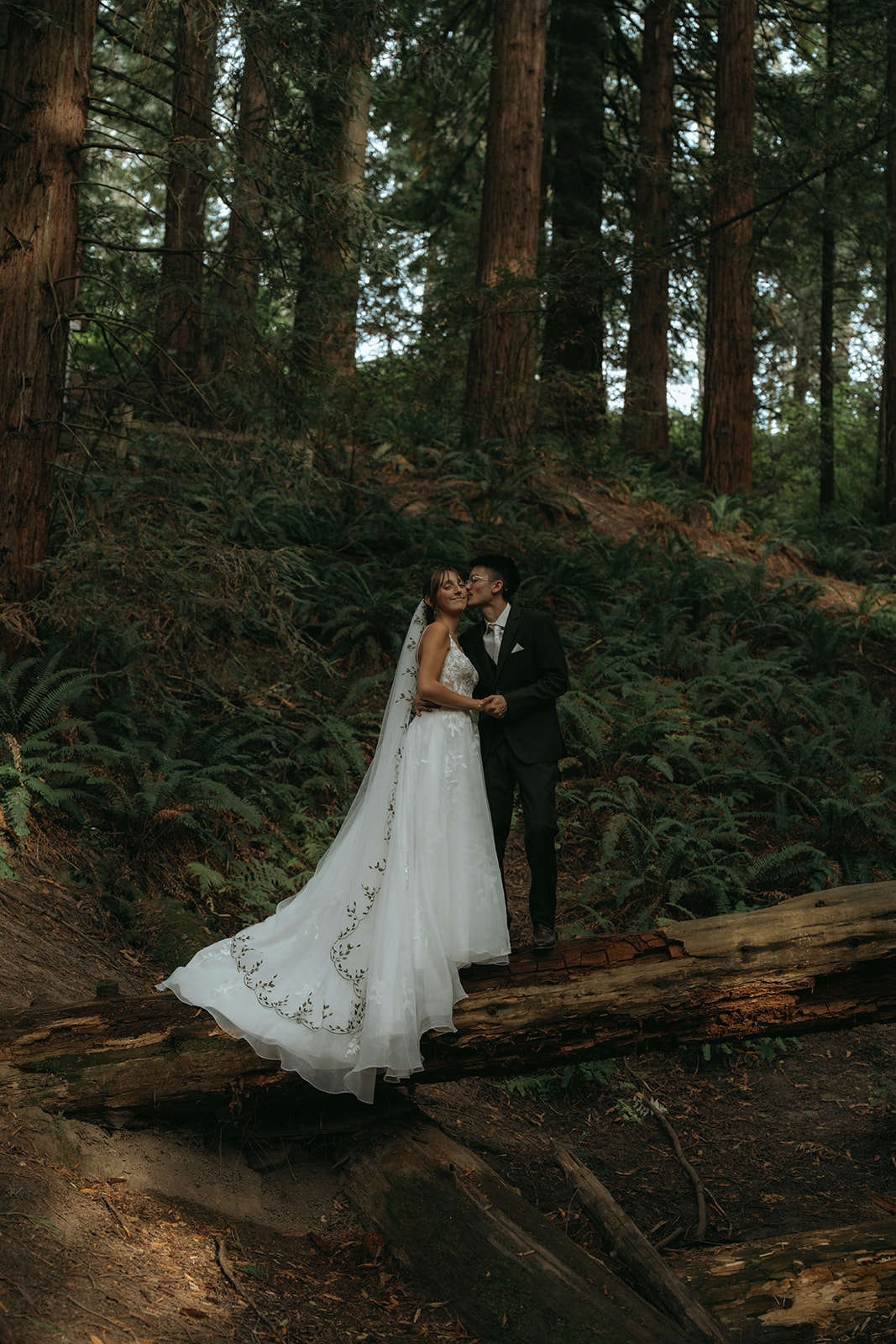 bride and groom standing on fallen tree in the middle of a forest with tall trees surrounding them in their wedding attire